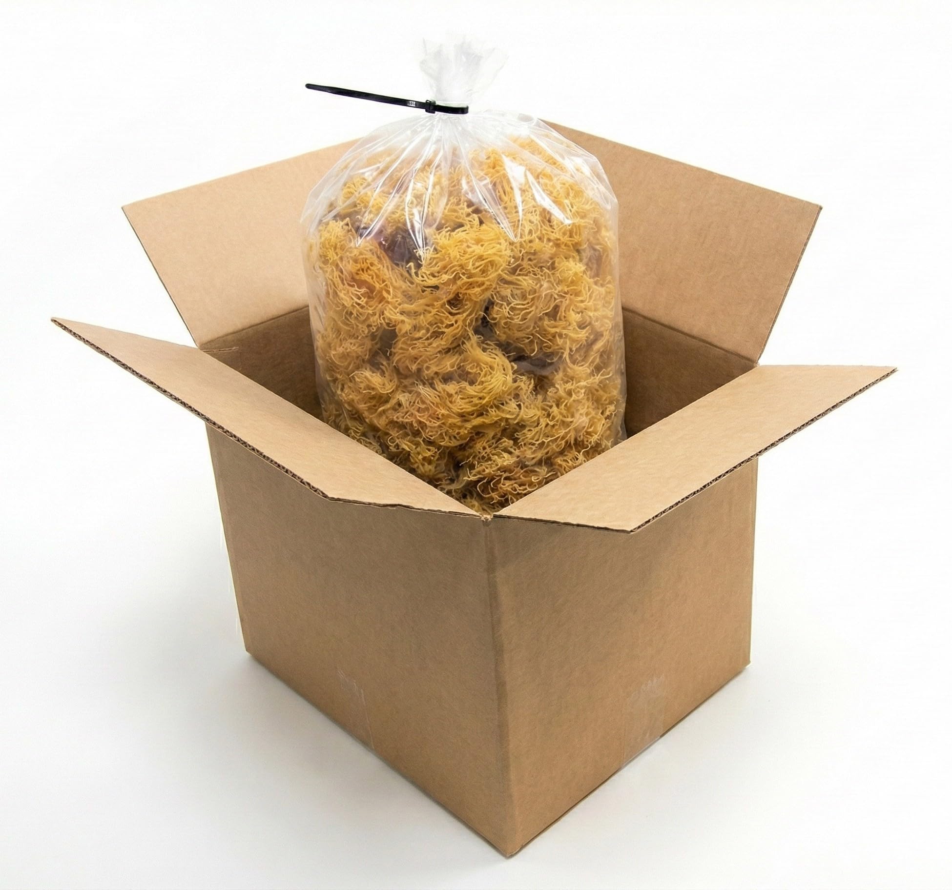 Amazon.com: 5 lb Bulk Raw Wildcrafted Sea Moss – Makes ~1100 oz